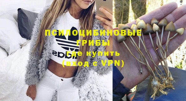 бошки Белокуриха