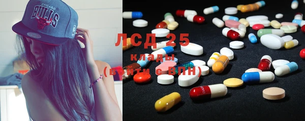 бошки Белокуриха