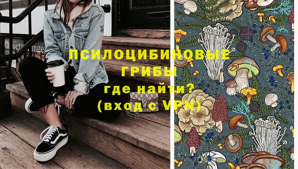 бошки Белокуриха