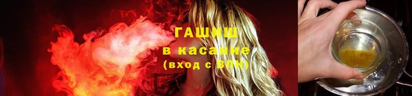 бошки Белокуриха