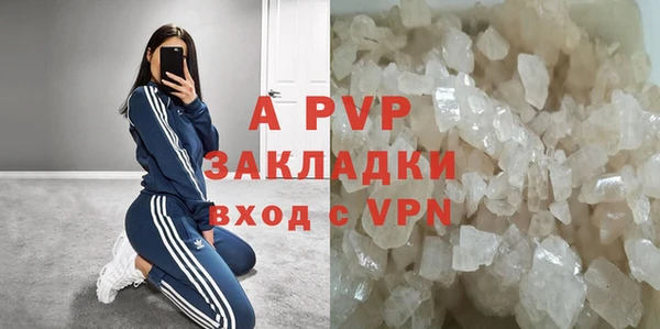 бошки Белокуриха